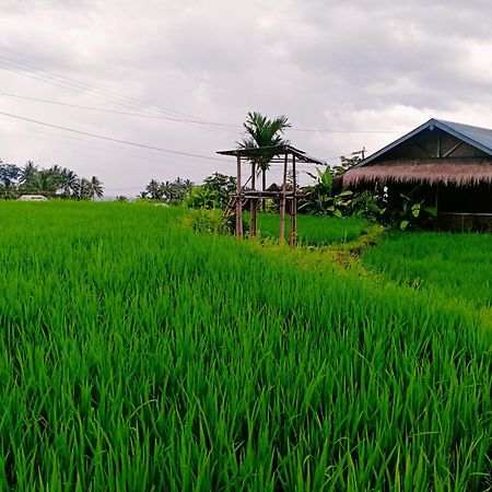 Bayan Exotic Homestay セナル エクステリア 写真