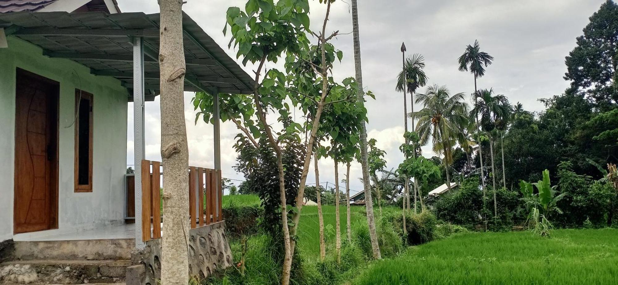 Bayan Exotic Homestay セナル エクステリア 写真