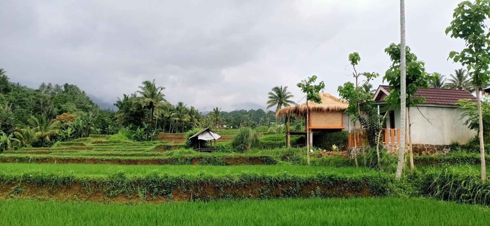 Bayan Exotic Homestay セナル エクステリア 写真