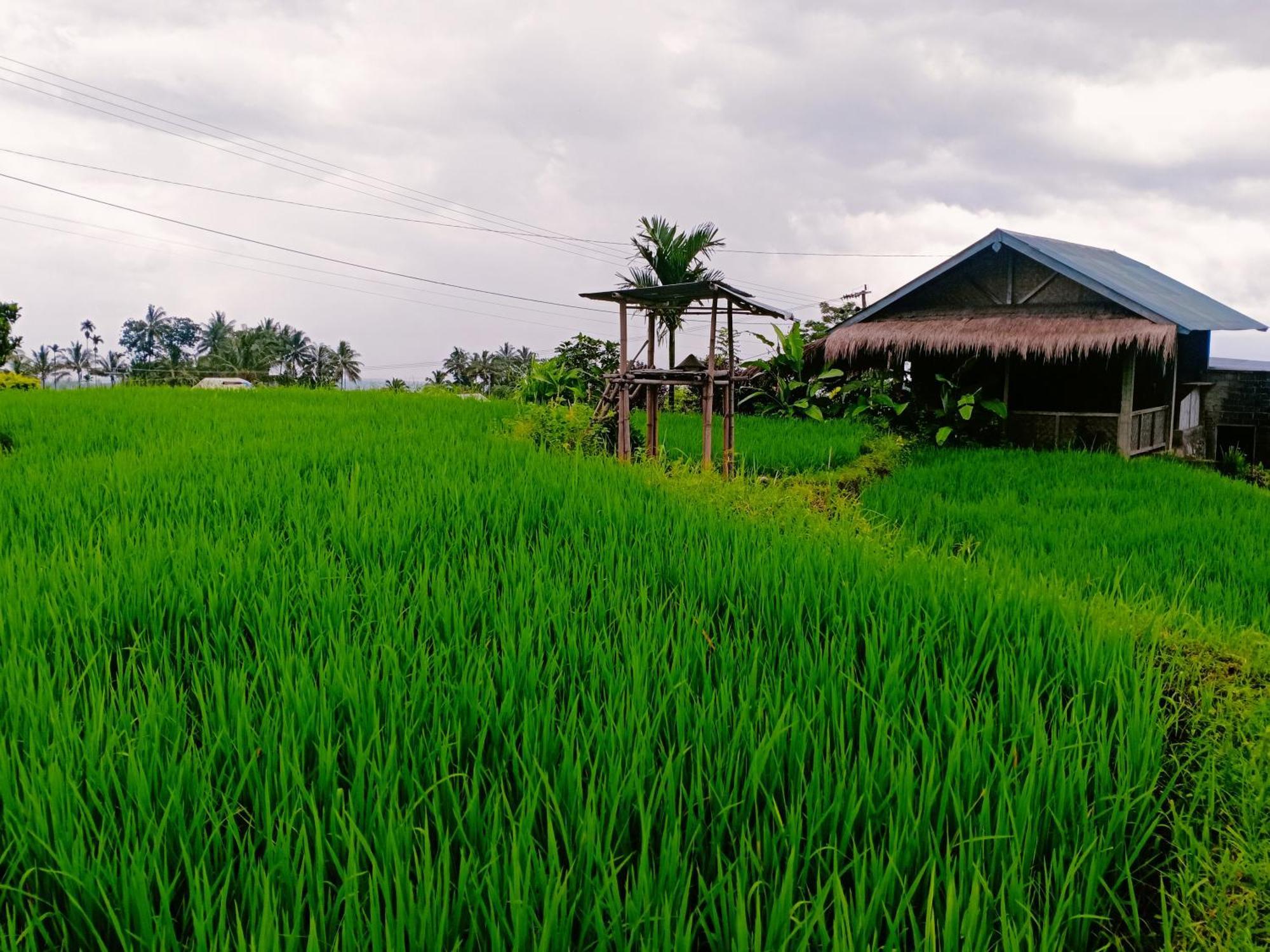 Bayan Exotic Homestay セナル エクステリア 写真