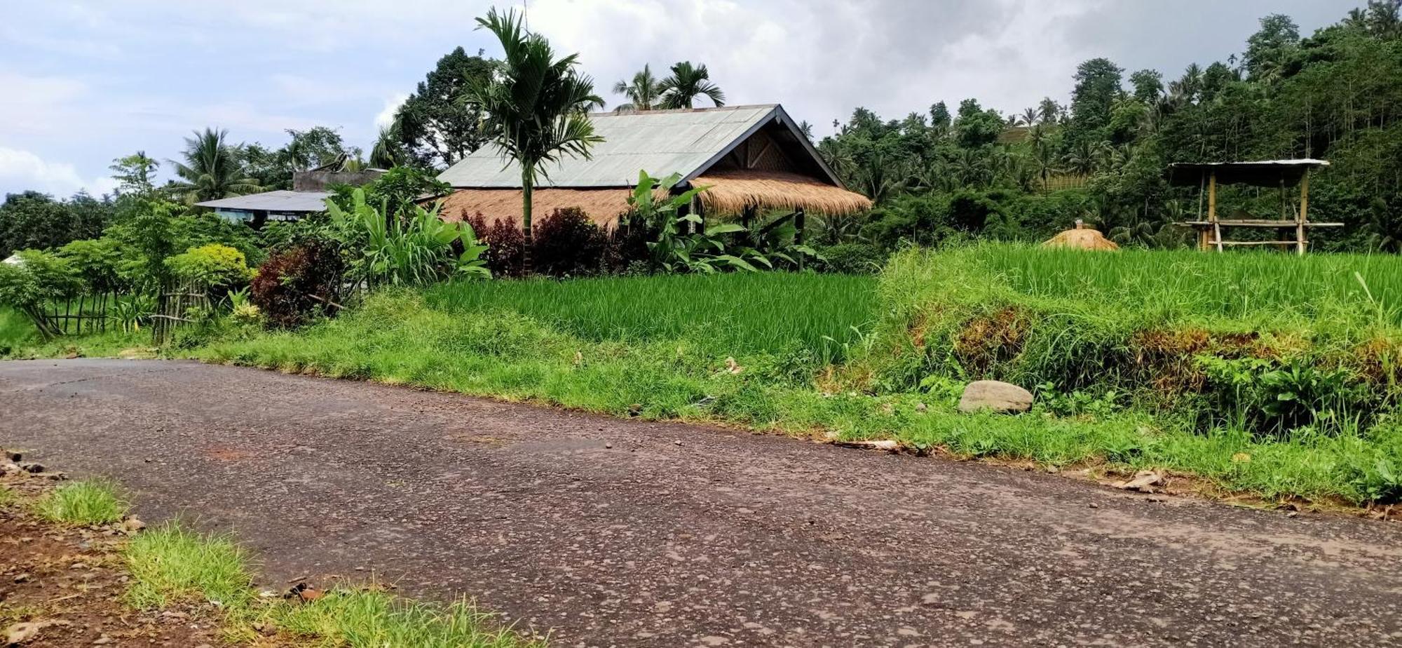 Bayan Exotic Homestay セナル エクステリア 写真