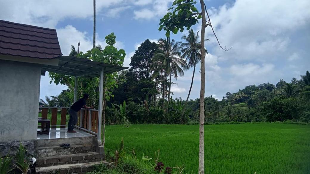 Bayan Exotic Homestay セナル エクステリア 写真