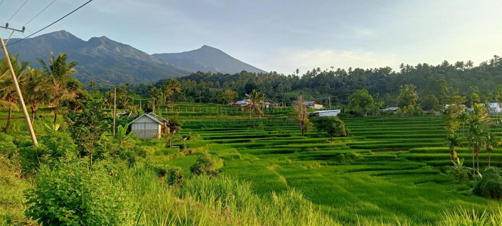 Bayan Exotic Homestay セナル エクステリア 写真